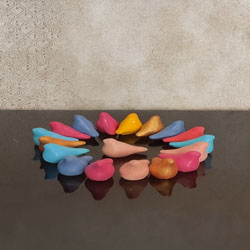 مرغ آمین - Image 2